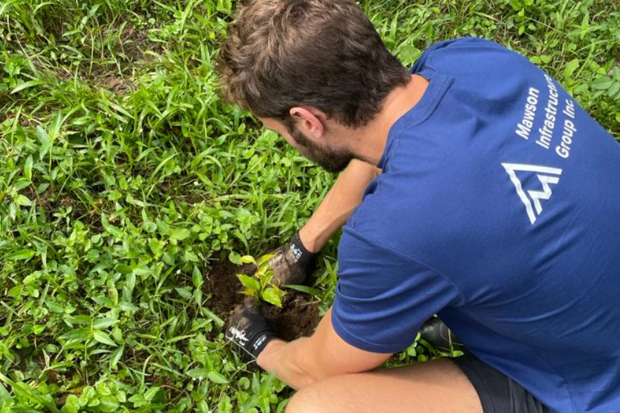 Nick Plants a Tree