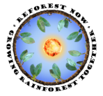 ReForest Now Logo Transparent