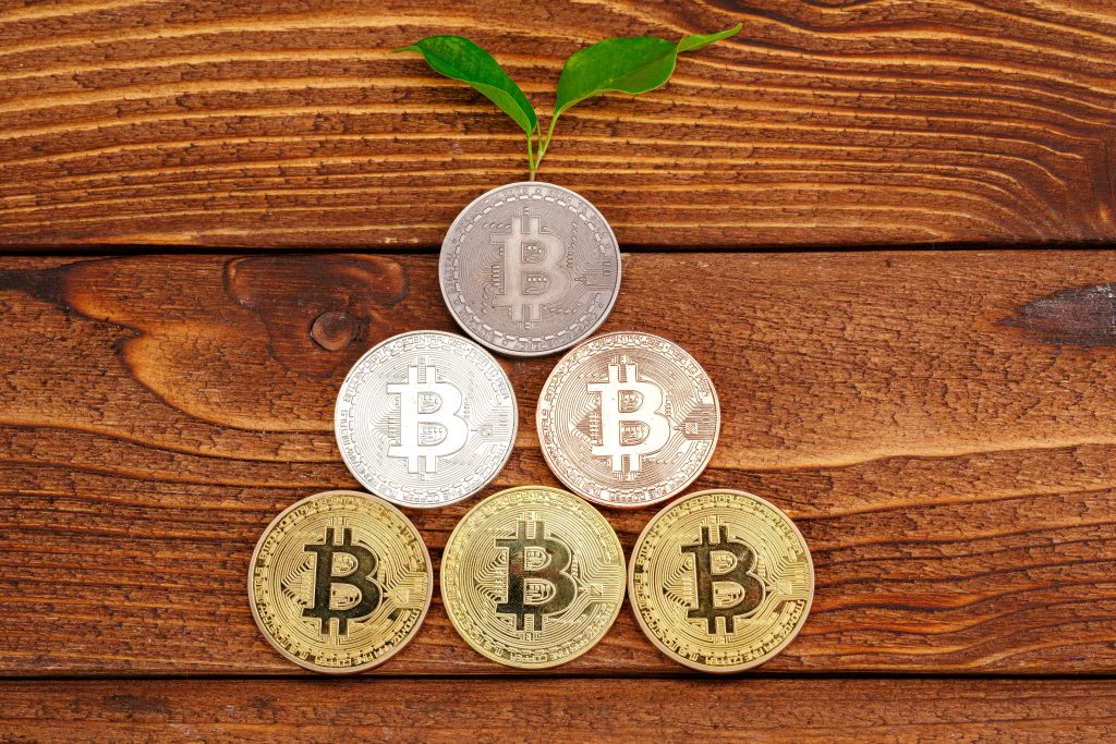Image of Bitcoins and Plant. Mawson uses “green” sustainable means of mining digital currency